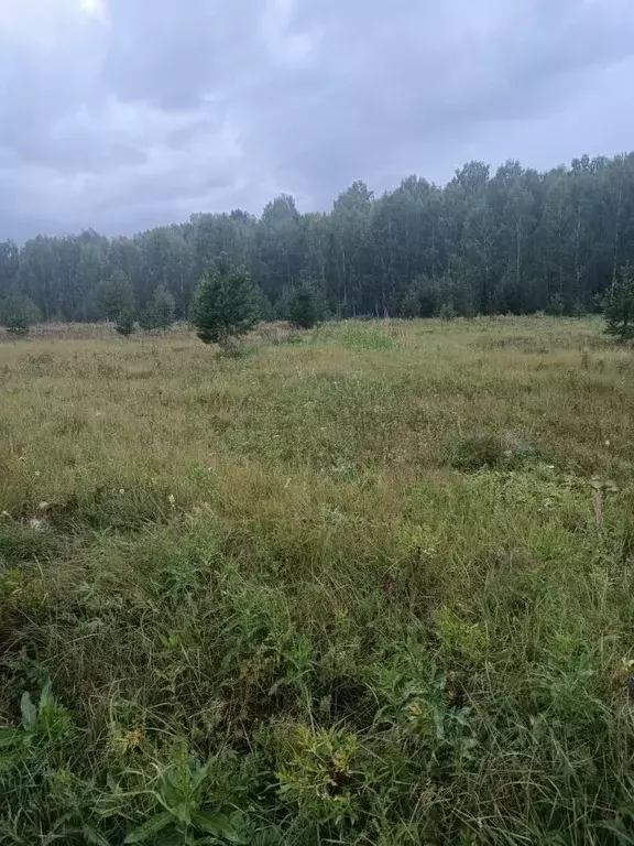 Участок в Свердловская область, Березовский городской округ, пос. ... - Фото 0