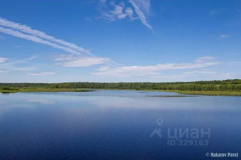 Участок в Тверская область, Оленинский район, д. Береза  (7.52 сот.) - Фото 0