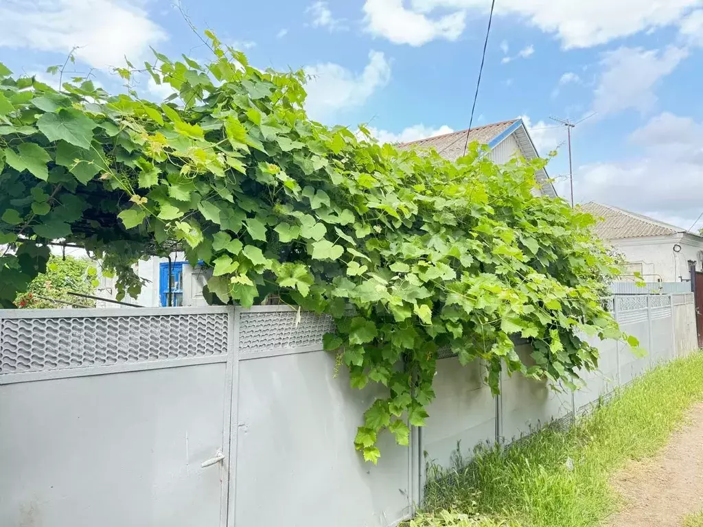 Дом 25 м на участке 2,8 сот. - Фото 0