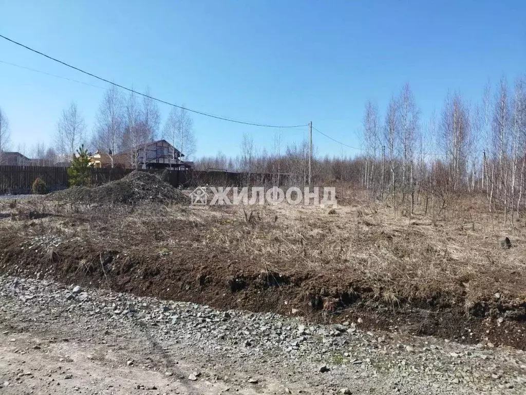 Участок в Кемеровская область, Кемеровский муниципальный округ, с. ... - Фото 0