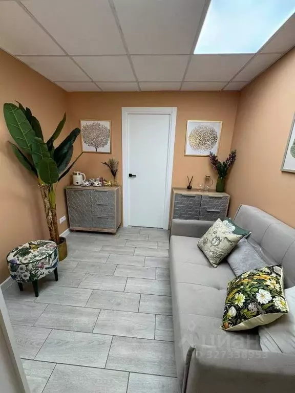 Помещение свободного назначения в Москва Ермолаевский пер., 4 (23 м) - Фото 1