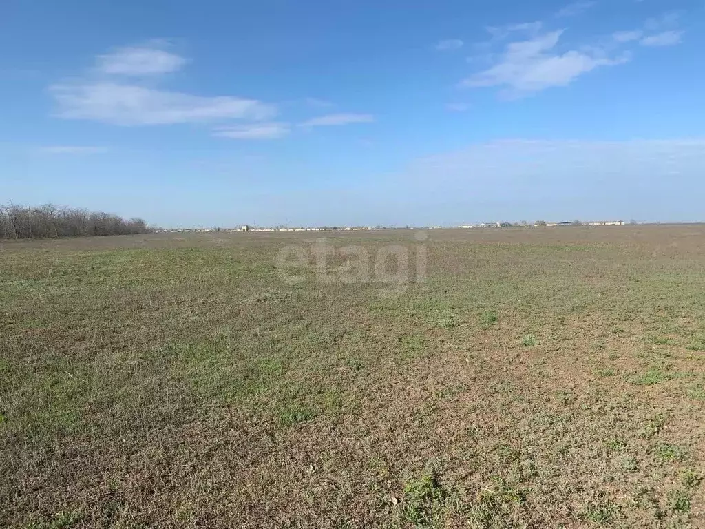 Участок в Крым, Красногвардейский район, Колодезянское с/пос, с. ... - Фото 1