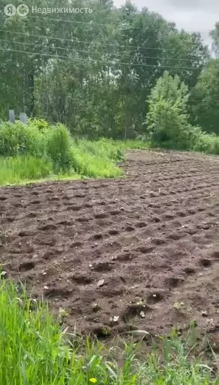 Участок в Елизовский район, СНТ Родничок (5.74 м) - Фото 1