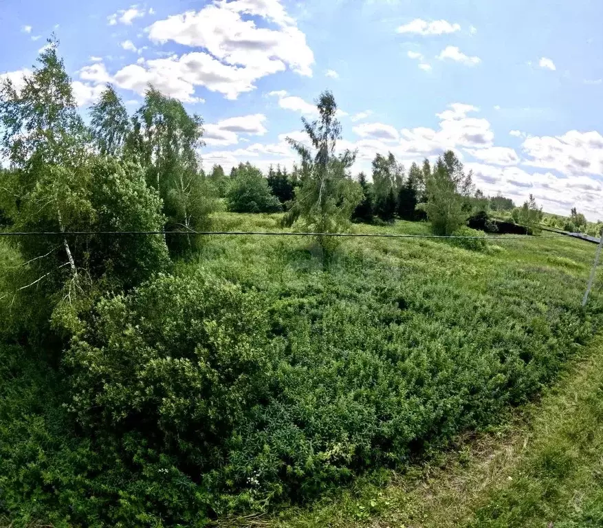 Участок в Московская область, Клин городской округ, Подсолнухи кп ул. ... - Фото 1