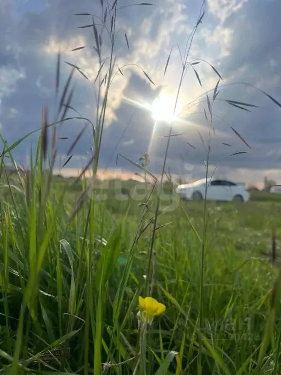 Участок в Северная Осетия, Беслан Правобережный район, ул. Сигова ... - Фото 2