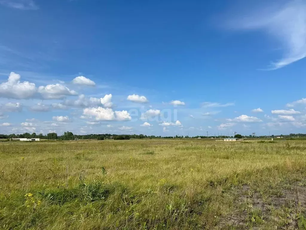 участок в красноярский край, березовский район, есаульский сельсовет, . - Фото 1