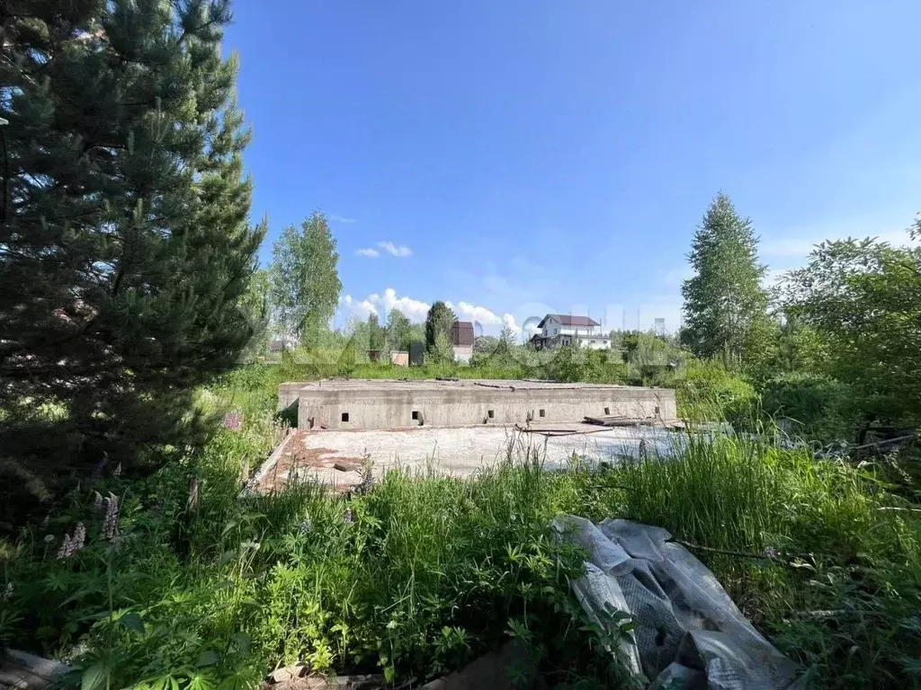 Участок в Новосибирская область, Новосибирский район, Барышевский ... - Фото 1