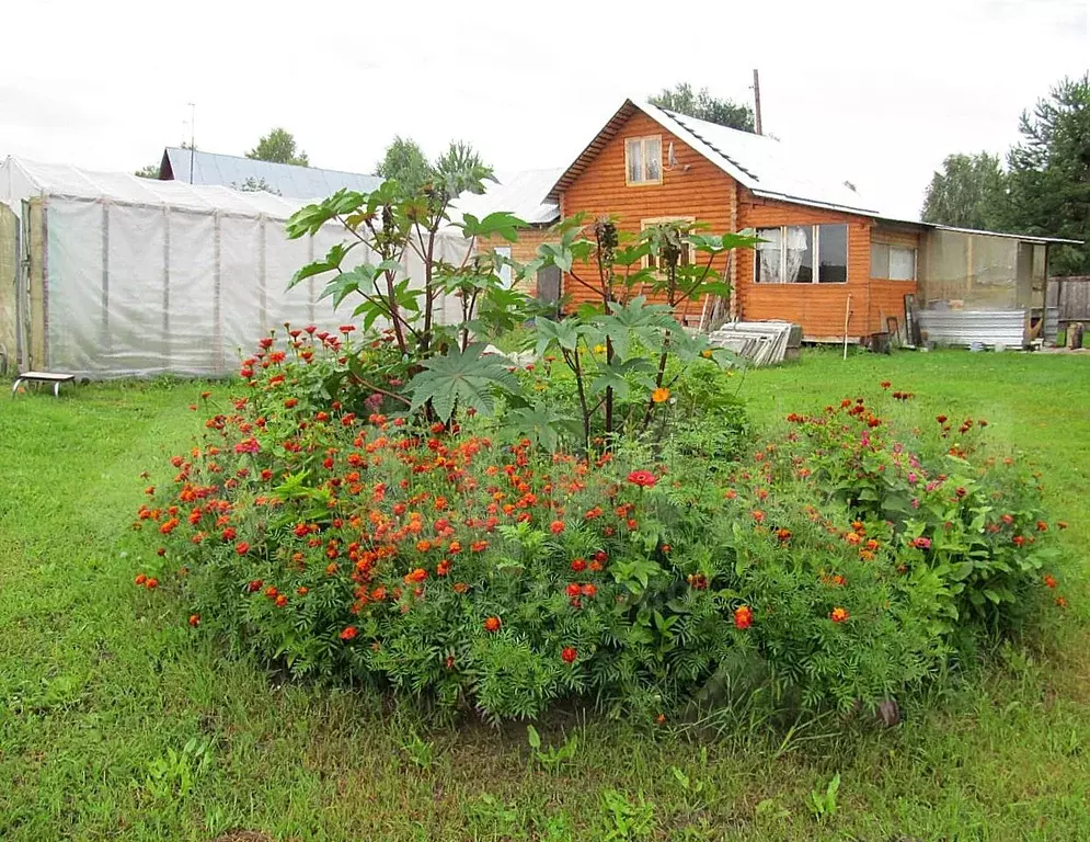 Купить Дом Богородский Район Авито