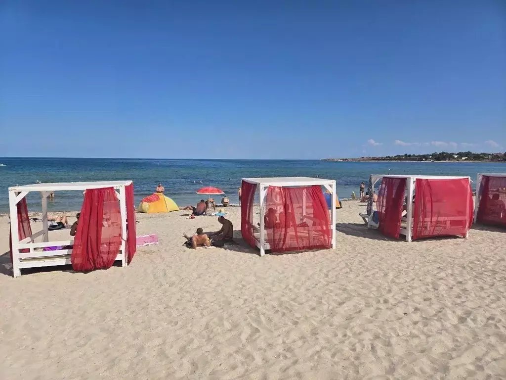 Участок в Крым, Черноморский район, с. Новосельское, Мечта-1 СНТ 488 ... - Фото 1