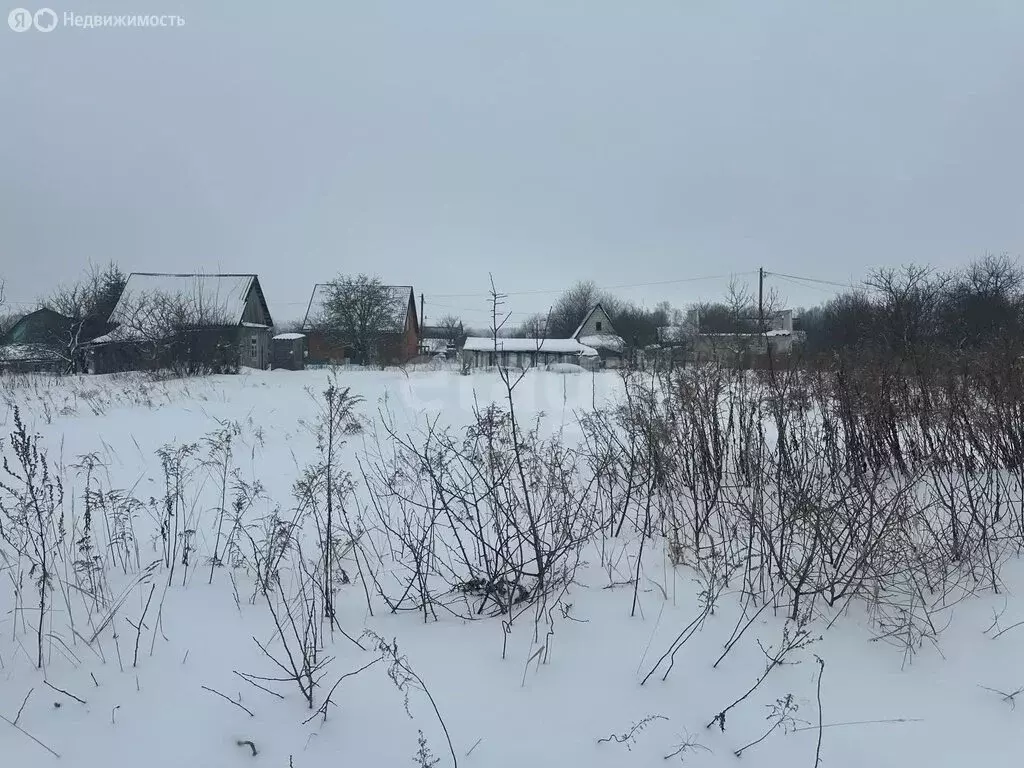 Участок в село Толмачево, СДТ Дачное, 6-й Дачный проезд (8.2 м) - Фото 2