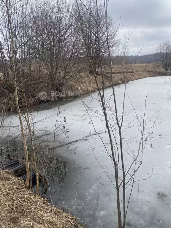 Участок в Чувашия, Моргаушский муниципальный округ, д. Максикасы ул. ... - Фото 2