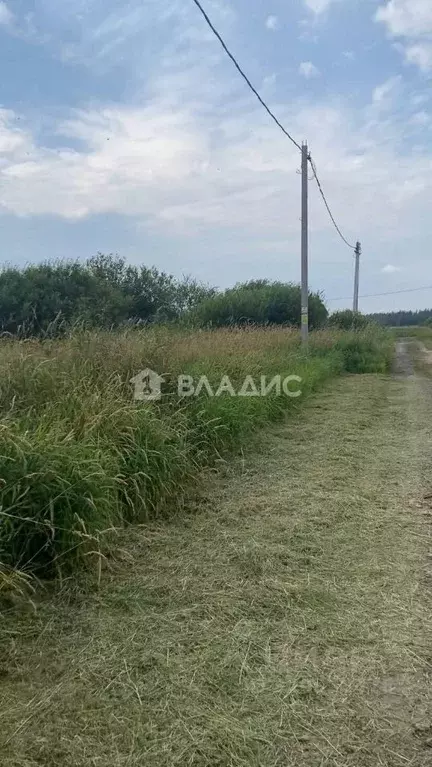 Участок в Ленинградская область, Всеволожский район, Романовское ... - Фото 0