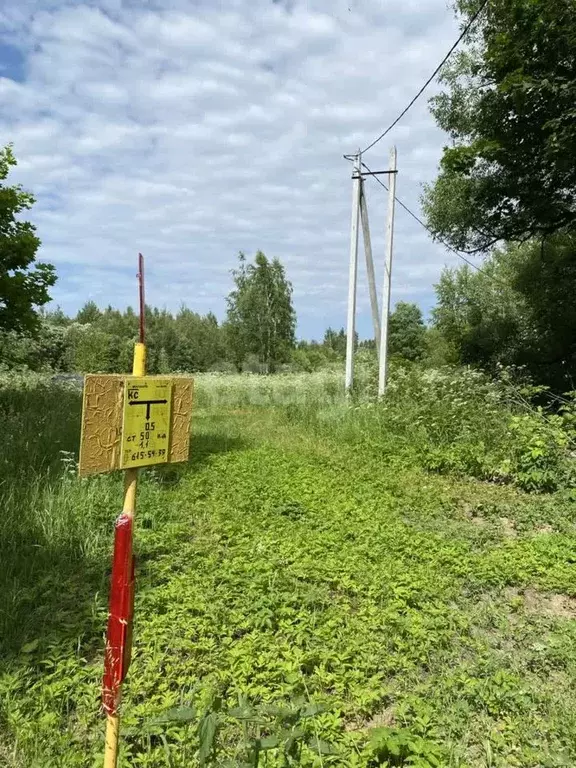 Участок в Московская область, Коломна городской округ, с. Маливо  ... - Фото 1