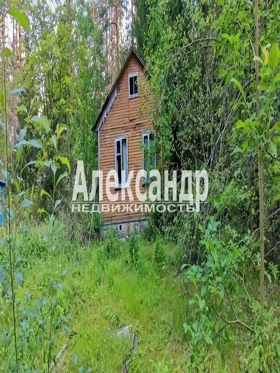 Дом в Ленинградская область, Выборгский район, Полянское с/пос, пос. ... - Фото 0