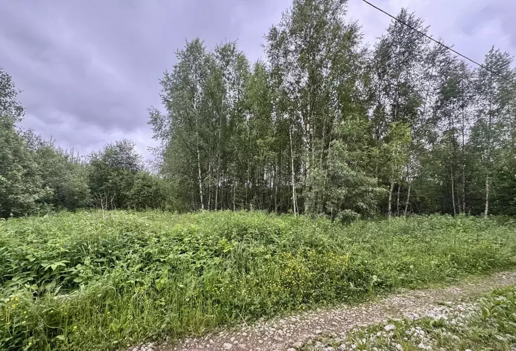 Участок в Ивановская область, Ивановский муниципальный округ, Утро СНТ ... - Фото 1