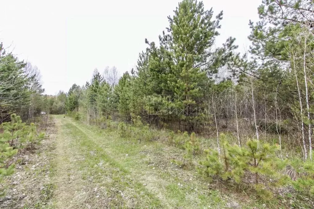 Участок в Тюменская область, Нижнетавдинский муниципальный округ, д. ... - Фото 1
