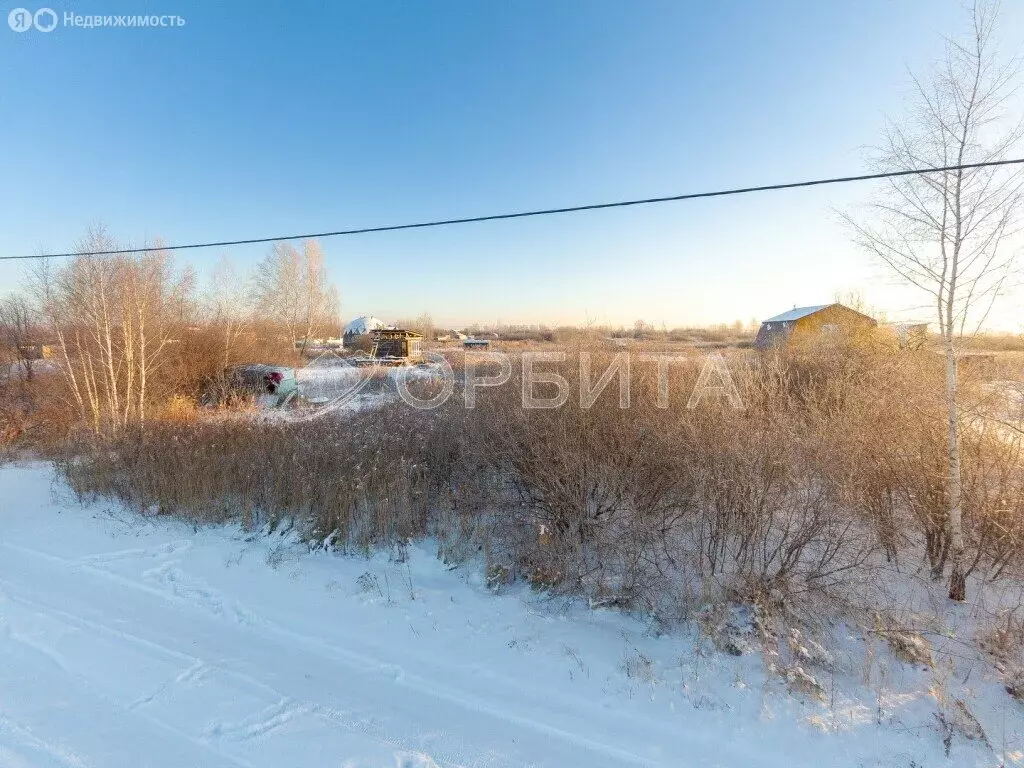 Участок в Тюмень, садовое товарищество Ясень, Пятая улица (11 м) - Фото 1