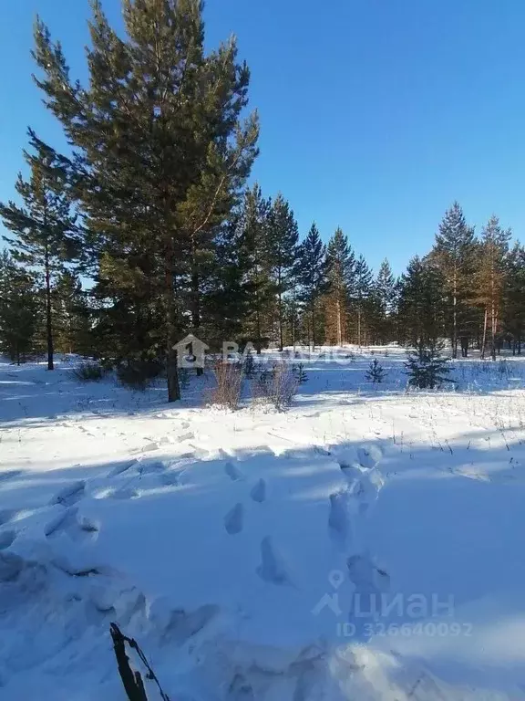 Участок в Бурятия, Тарбагатайский район, Заводское с/пос, Дархан СТ ... - Фото 2