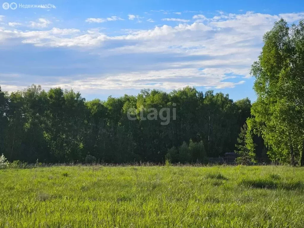 Участок в Искитимский район, Шибковский сельсовет (8.6 м) - Фото 0