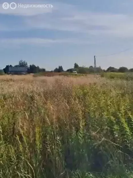 Участок в Калининградская область, Гурьевский муниципальный округ, ... - Фото 1