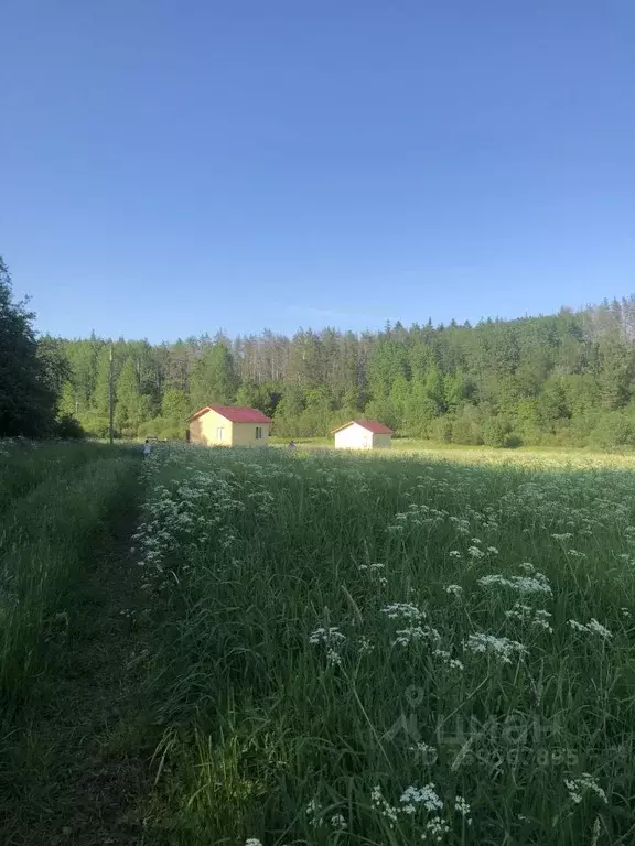 Участок в Карелия, Лахденпохский муниципальный округ, пос. Асилан 78 ... - Фото 0