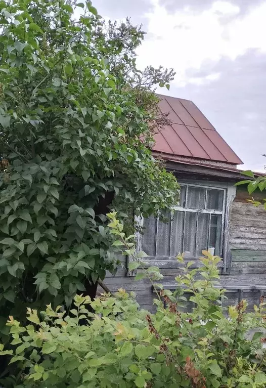 Участок в Чувашия, Чебоксары Рассвет СНТ, 259 (3.0 сот.) - Фото 1