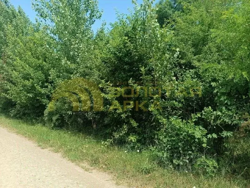 Участок в Краснодарский край, Абинский район, Мингрельское с/пос, ... - Фото 2