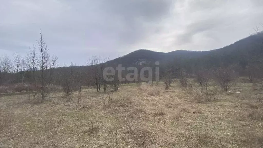 Участок в Крым, Феодосия муниципальный округ, с. Краснокаменка ул. ... - Фото 0
