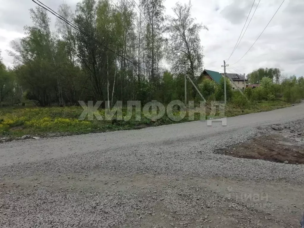 Дом в Новосибирская область, Новосибирск Березовая Роща СТ,  (65 м) - Фото 0
