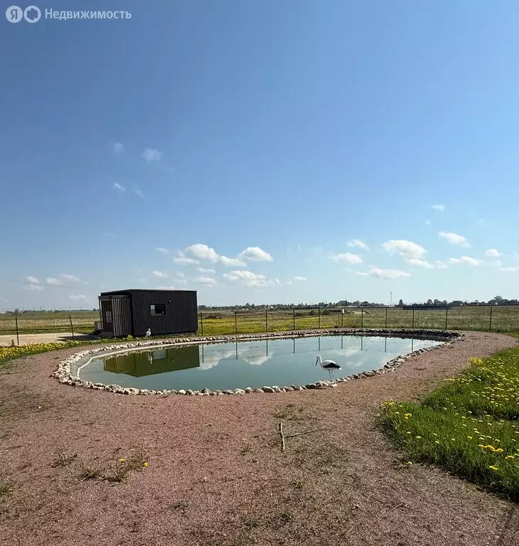 Участок в Ленинградская область, Гатчинский муниципальный округ, КП ... - Фото 1