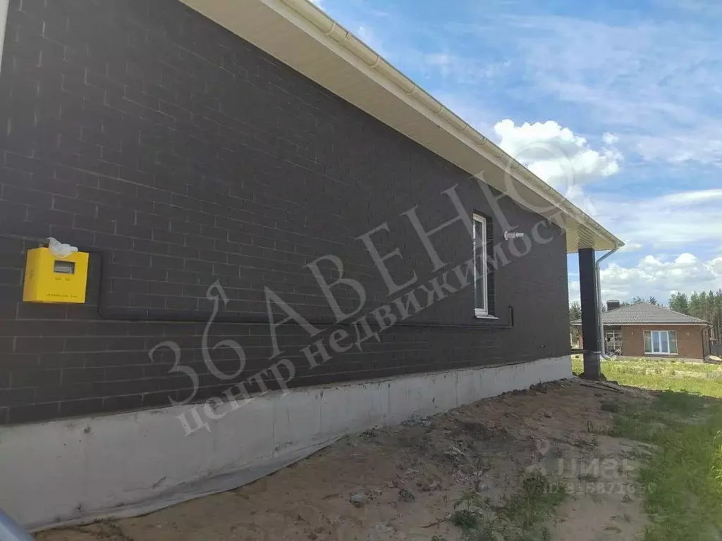 Дом в Воронежская область, Воронеж ул. Школьная, 101 (96 м) - Фото 1