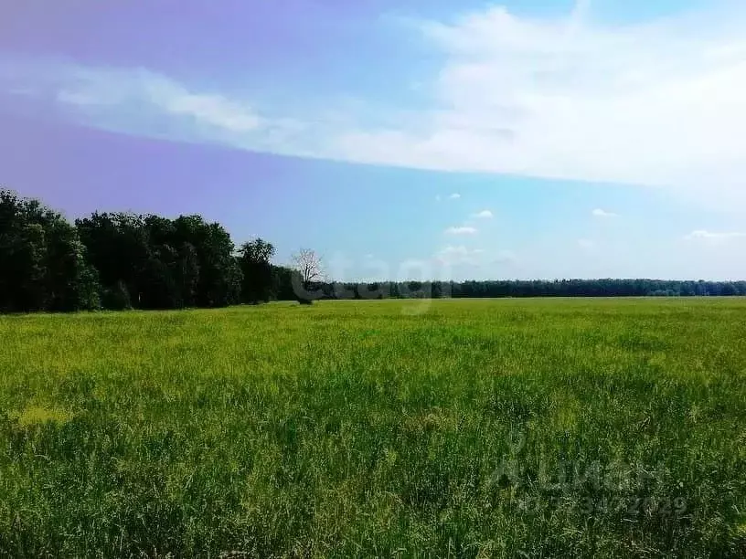 Участок в Краснодарский край, Новороссийск городской округ, ... - Фото 1