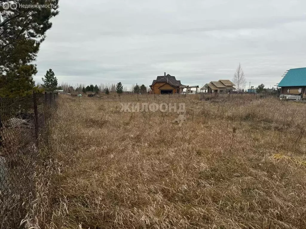 Участок в село Ленинское, СНТ Посёлок Новониколаевский (10 м) - Фото 0