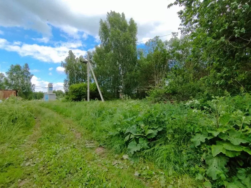 Участок в Нижегородская область, Нижний Новгород с. Шелокша,  (25.0 ... - Фото 2