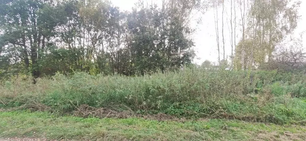 Участок в Московская область, Талдомский городской округ, д. ... - Фото 1