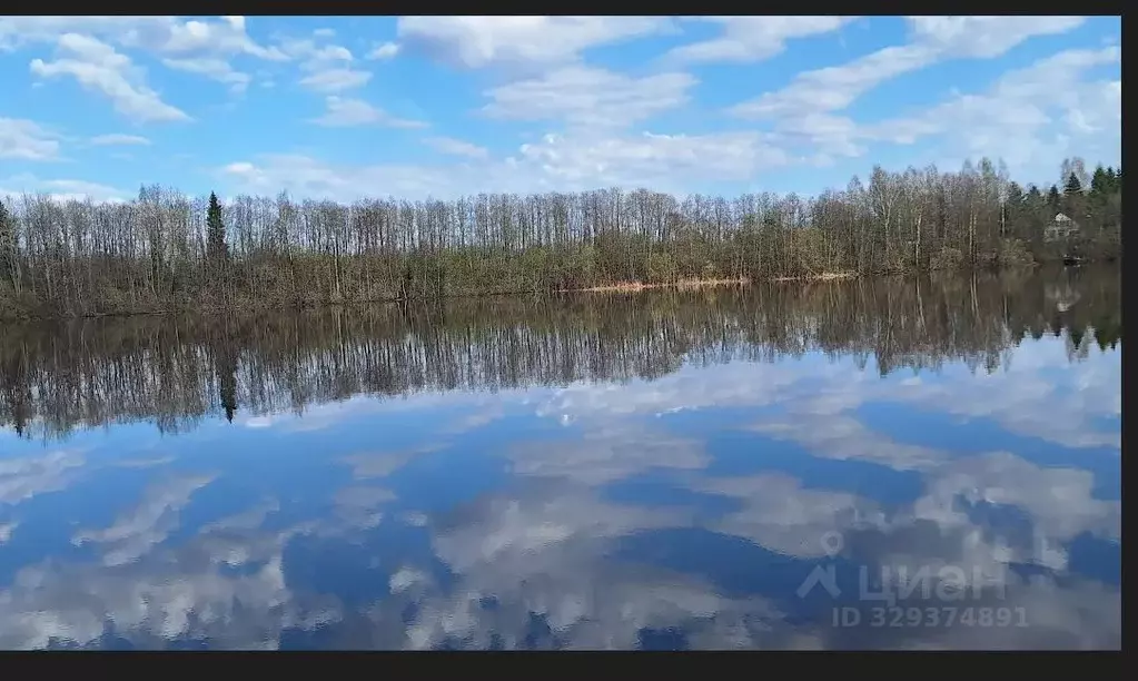 Участок в Ленинградская область, Волховский район, Вындиноостровское ... - Фото 1