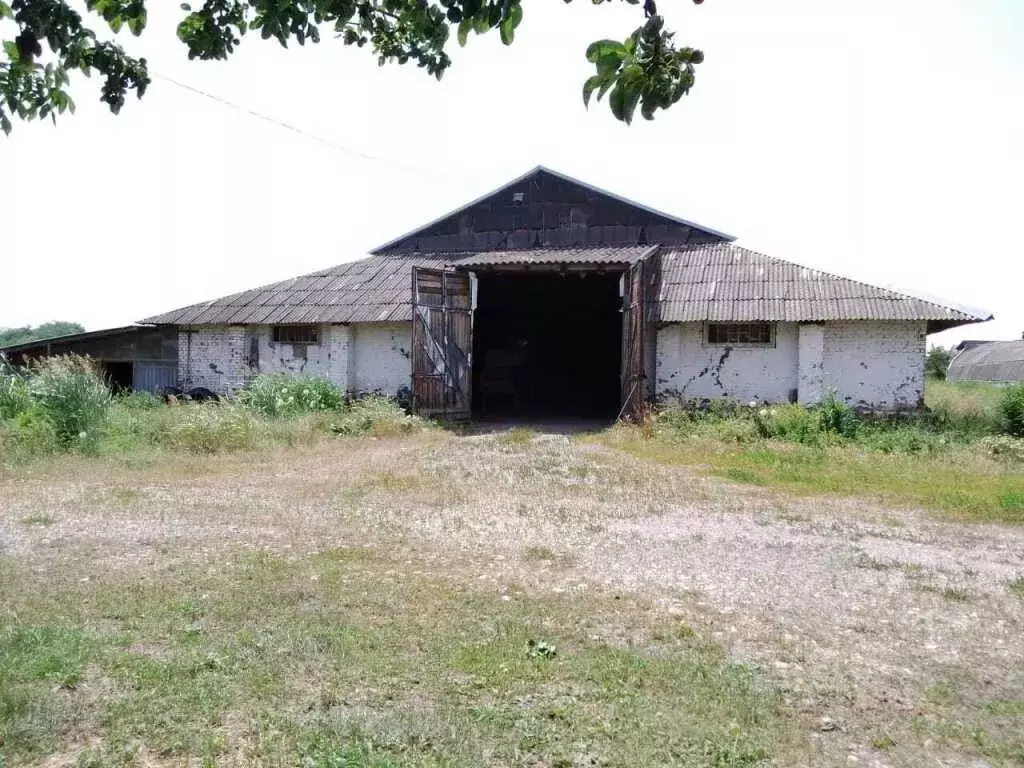 Производственное помещение в Ставропольский край, Георгиевский ... - Фото 1