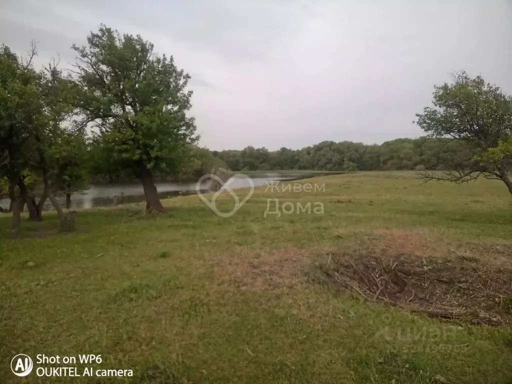 Участок в Волгоградская область, Калачевский район, Голубинское с/пос, ... - Фото 2
