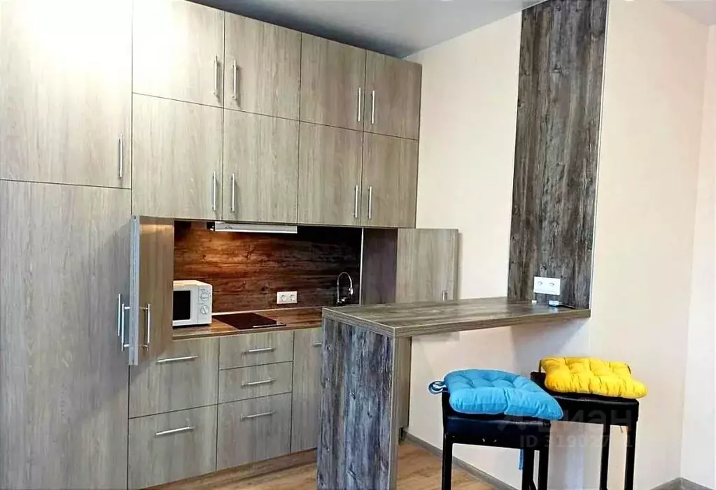 Студия Воронежская область, Воронеж ул. 9 Января, 68/2к4 (28.3 м) - Фото 2