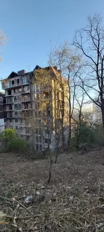 Участок в Краснодарский край, Сочи Луч садоводческое товарищество, 161 ... - Фото 2