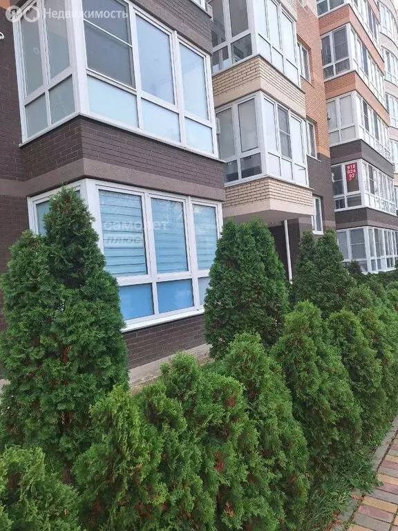 Квартира-студия: Анапа, Пионерский проспект, 274Б (33 м) - Фото 1