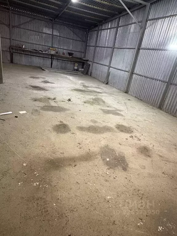 Склад в Мурманская область, Мурманск ул. Шабалина, 16 (60 м) - Фото 1