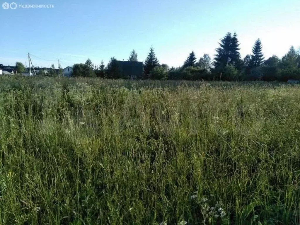 Участок в Волосовский район, Калитинское сельское поселение, деревня ... - Фото 1