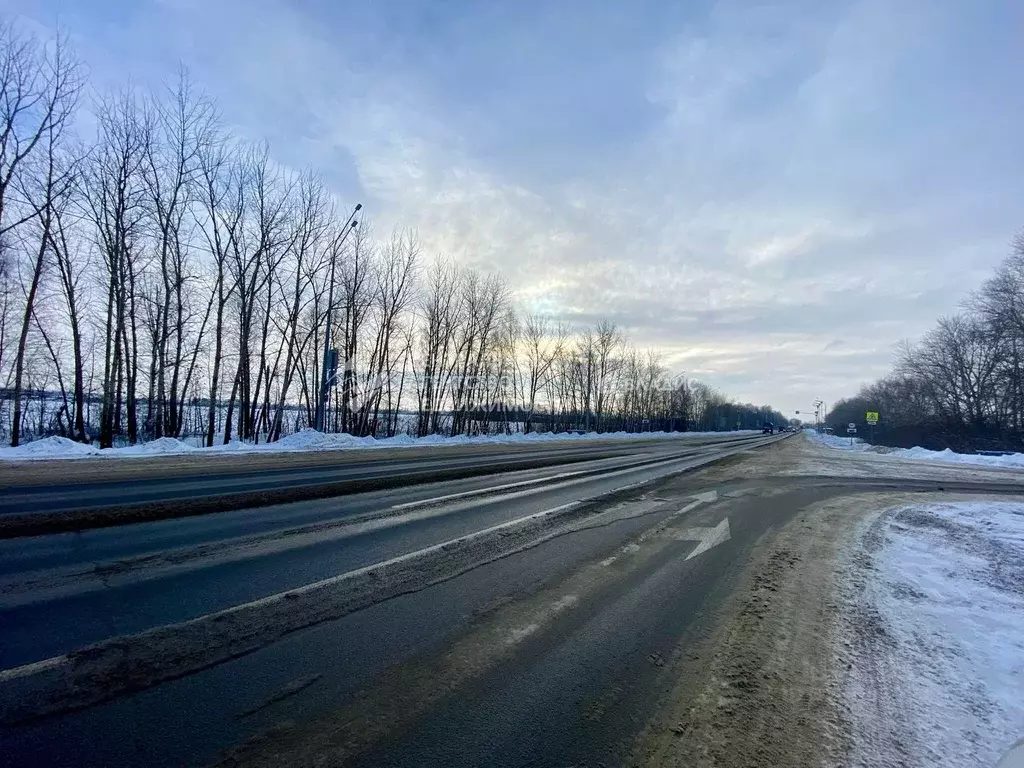 Участок в Рязанская область, Рязанский муниципальный округ, с. ... - Фото 1