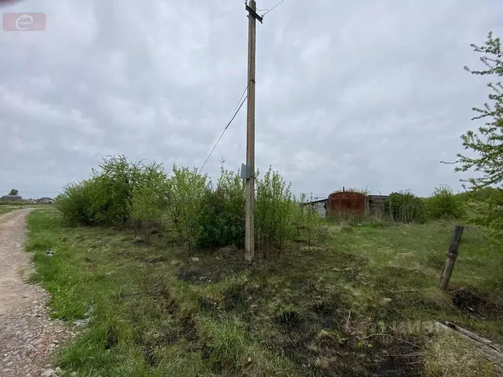 Участок в Воронежская область, с. Новая Усмань ул. Победы (11.0 сот.) - Фото 1