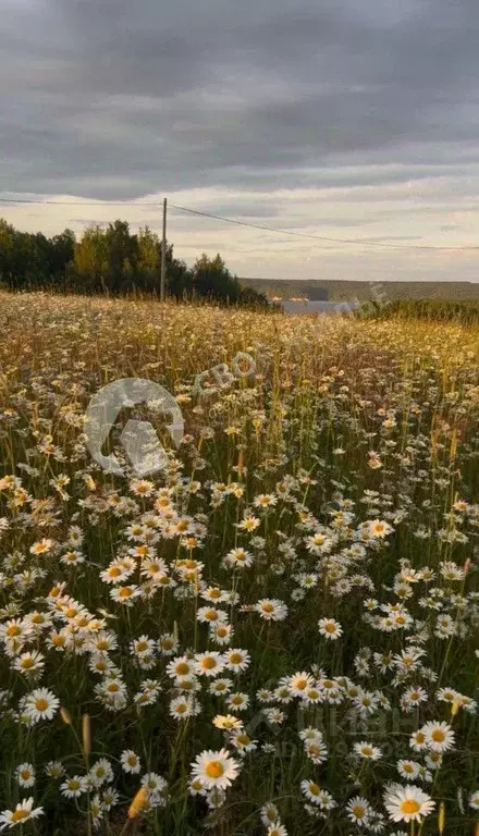Участок в Пермский край, Пермский район, д. Карасье ул. Луговая (24.0 ... - Фото 0