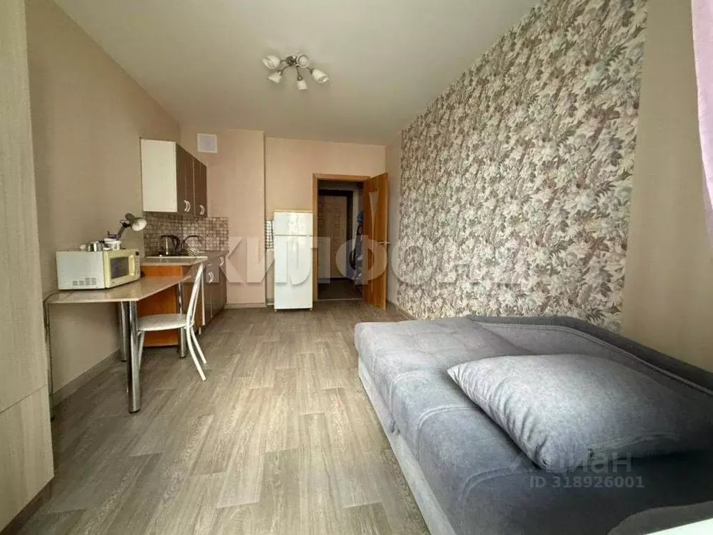 Студия Новосибирская область, Новосибирск ул. Петухова, 103 (20.8 м) - Фото 1