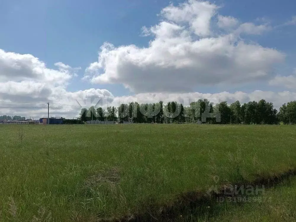 Участок в Новосибирская область, Новосибирский район, Морской ... - Фото 1