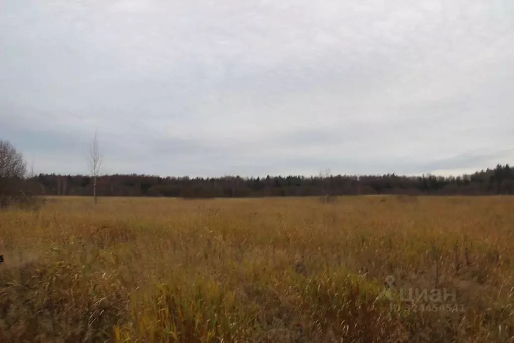 Участок в Московская область, Шаховская муниципальный округ, с. Белая ... - Фото 1