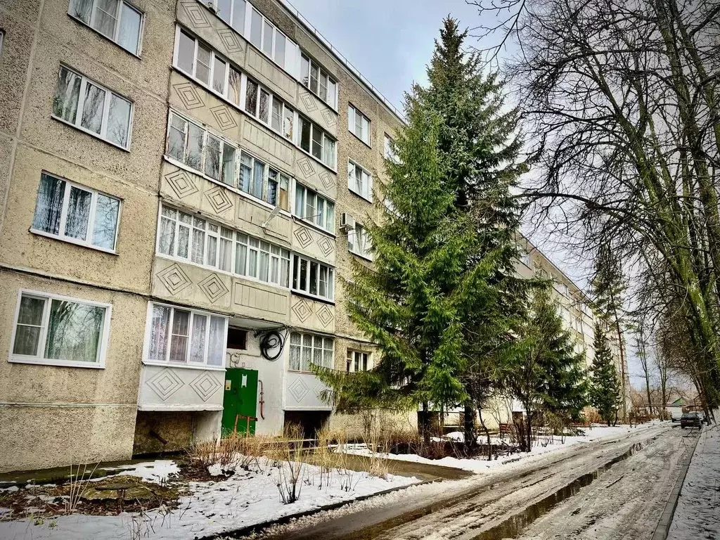 2-к кв. Тамбовская область, Мичуринск Интернатская ул., 3А (53.1 м) - Фото 1
